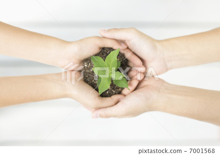 Both hands with plants Both hands with plants 7001568