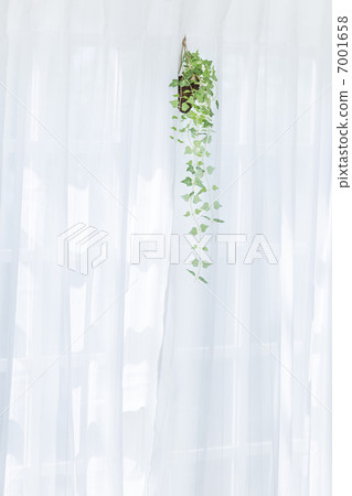Houseplant suspended from the window side 7001658