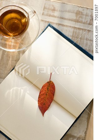 Leaf on the book 7001897