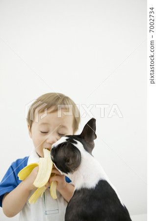 Dog and boy 7002734