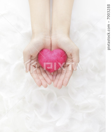 Heart on palm Heart on palm 7003288