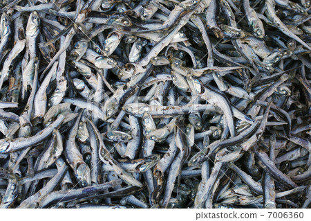 入子 入子 7006360