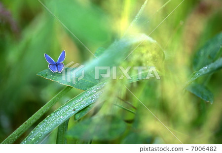 Powered by Translate 7006482