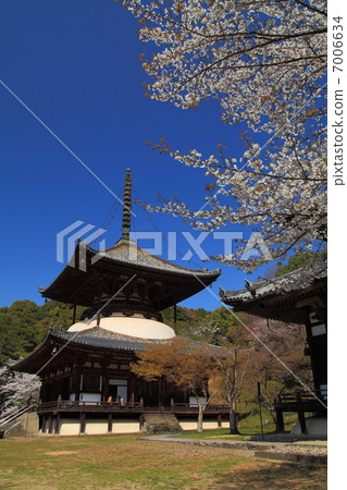 新寺的春天 7006634