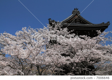Spring of Neoji Temple 7006646