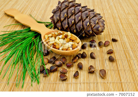 Nuts and cone of cedar on a bamboo mat 7007152