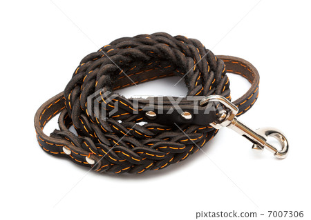 leather leash 7007306