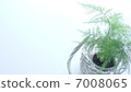 室內植物表1 室內植物表1 7008065