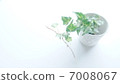 室內植物表3 室內植物表3 7008067