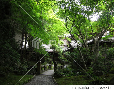 Kyoto of fresh green Kyoto of fresh green 7008312