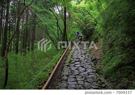 箱根老路 7009337