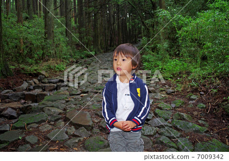 Hakone Old Road and Children 7009342