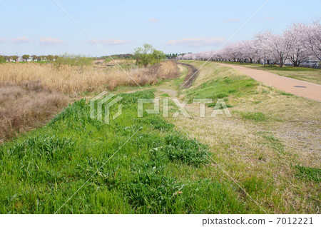 Spring river 7012221