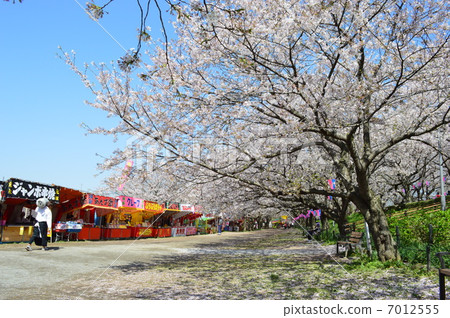 A day stall of Ginzento 7012555