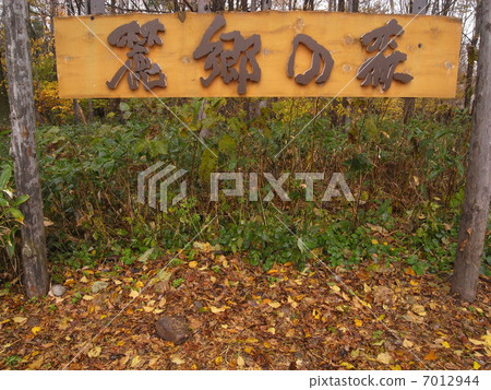 Forest entrance of Mt. Forest entrance of Mt. 7012944