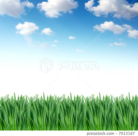 green grass under blue sky green grass under blue sky 7013187