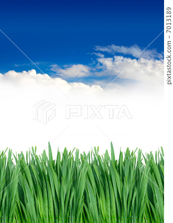 green grass under blue sky 7013189