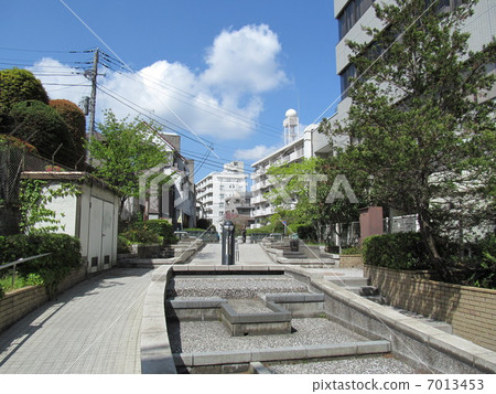 Taoyuan River green road in Nakano-ku Taoyuan River green road in Nakano-ku 7013453