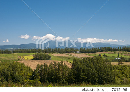 夏季大雪山 7013496