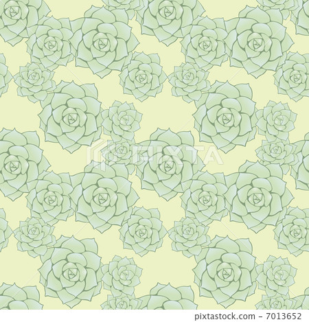 Succulent and plant pattern 7013652