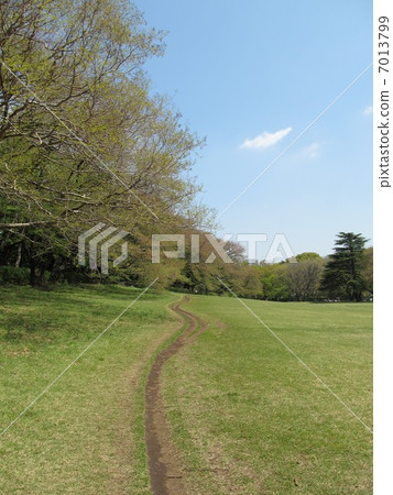 Kinutakoen狹窄的街道 7013799