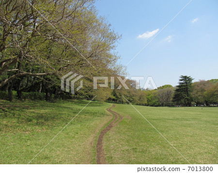 Kinutakoen狹窄的街道 Kinutakoen狹窄的街道 7013800