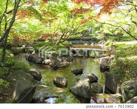 Ootaro公園的池塘 7013902