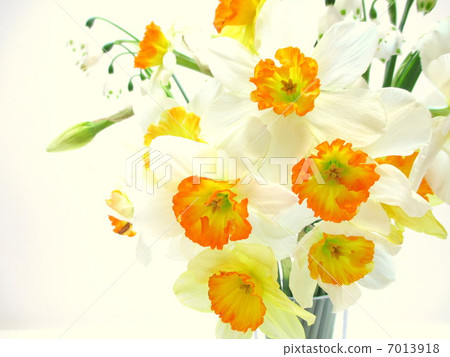 ❀ Spring flower flower arrangement ❀ 7013918