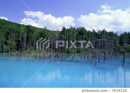 A cool old pond 7014120