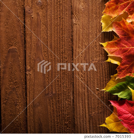 autumn background autumn background 7015393