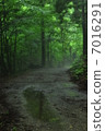 多雨的森林 7016291