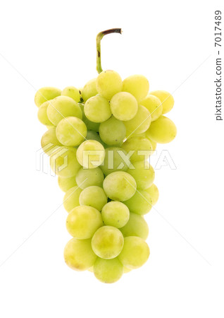 grapes 7017489