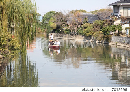 柳川市中心柳樹 柳川市中心柳樹 7018596