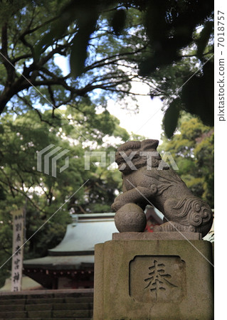 Komon dog Kinomiya Shrine Komon dog Kinomiya Shrine 7018757