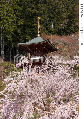 Minoh Katsuoji Treasure Tower Minoh Katsuoji Treasure Tower 7019141