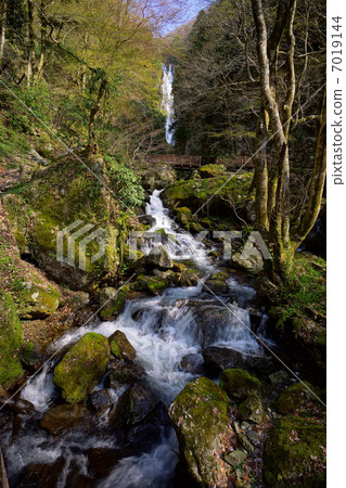 Kinomiya Falls and Mountain Streams 7019144