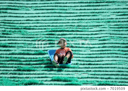 Grass slide 7019509