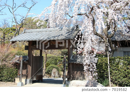 Tianzhi Temple 7019582
