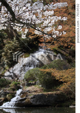 Kasaga城堡公園 7019592