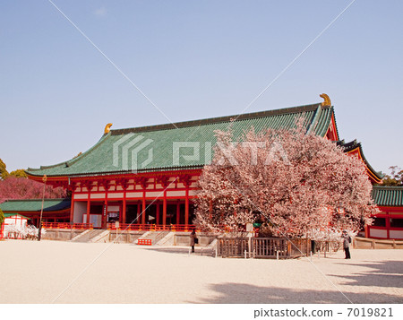 平安神宮的櫻花 7019821