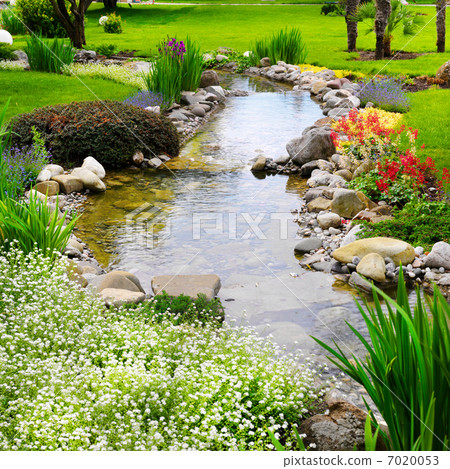 Spring flowers in the Asian japanese garden 7020053