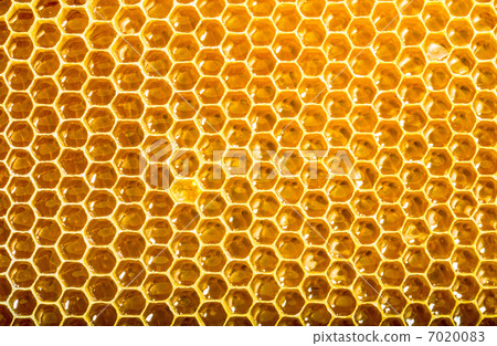 ready honeycomb with sweet honey ready honeycomb with sweet honey 7020083