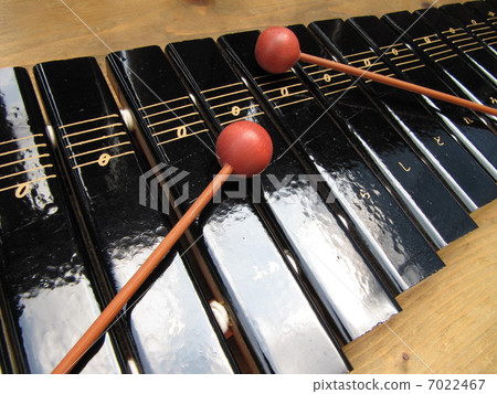 xylophone xylophone 7022467