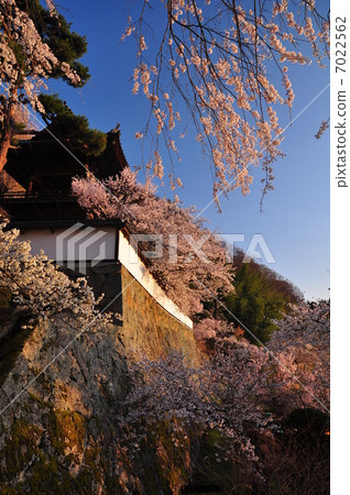 Daimonji Daimonji 7022562