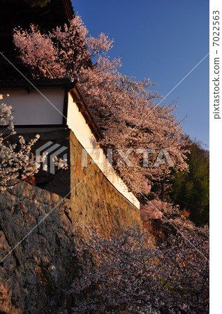Daimonji 7022563