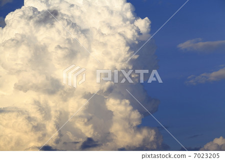 夏雲 夏雲 7023205