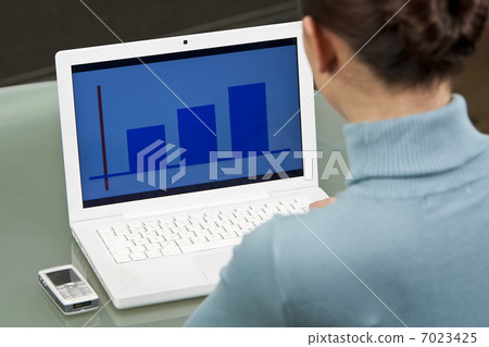 Female Executive Computing Female Executive Computing 7023425