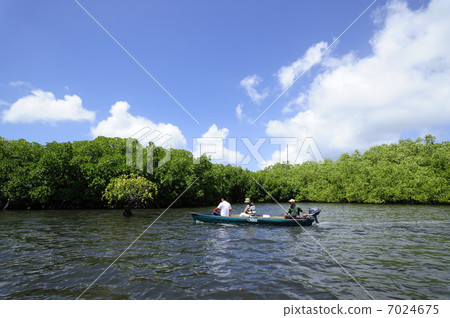 Palau Mangrove Kayak Tour Palau Mangrove Kayak Tour 7024675