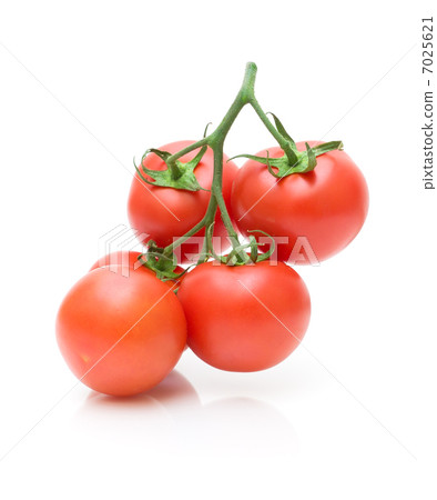 ripe tomatoes on a white background ripe tomatoes on a white background 7025621
