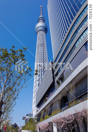 東京天空樹傳播的藍天和東京solamachi購物區 東京天空樹傳播的藍天和東京solamachi購物區 7026136